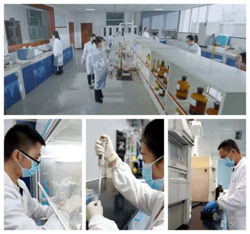 特驅(qū)酵享悅生物發(fā)酵替抗產(chǎn)品成功上市 開(kāi)啟綠色養(yǎng)殖新篇章