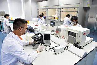 廣東省城市建設(shè)技師學(xué)院生物技術(shù)研發(fā) 推動(dòng)城市可持續(xù)發(fā)展的創(chuàng)新力量