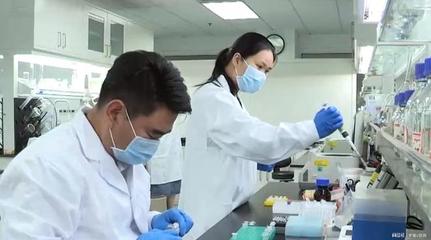 人工淀粉合成技術(shù) 重塑世界糧食格局的生物技術(shù)突破