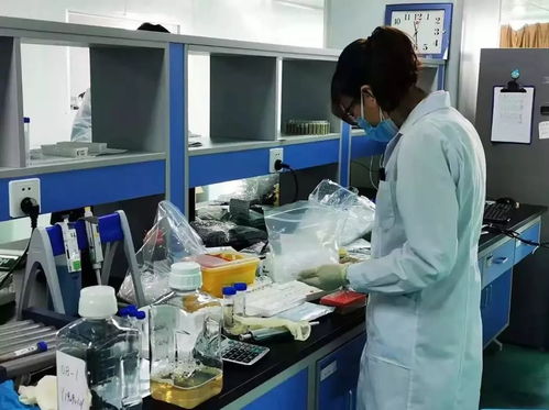 聚青力戰(zhàn)疫情 天津青年技術(shù)推廣行動(dòng)紀(jì)實(shí)